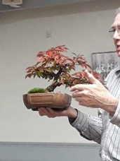 Cherry Critique Bonsai Demonstration