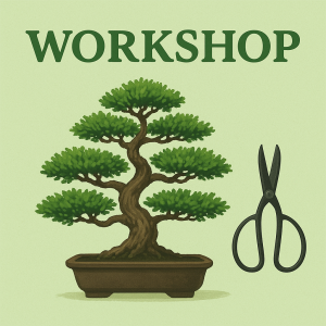 Redditch Bonsai Society Workshop event