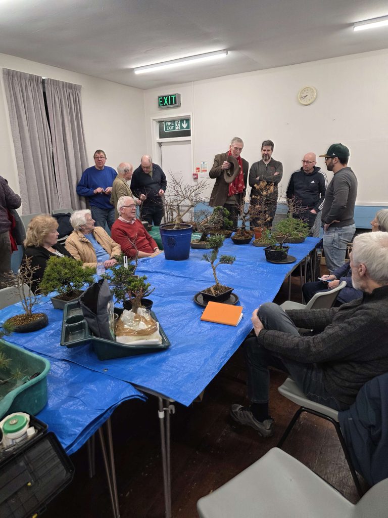 January 2026 Bonsai society meeting - Redditch Bonsai Society