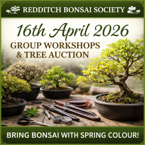 Redditch bonsai Society event April 16th 2026 workshop and tree auction