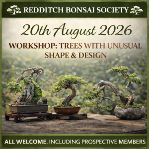 Bonsai trees with unconventional shapes and unusual design features displayed on a workshop table, including dramatic trunk movement, asymmetry, and non-traditional styling, representing a Redditch Bonsai Society hands-on workshop focused on creative bonsai design.