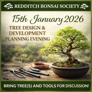 15th january 2026 Bonsai Event in Webheath, Redditch, tree design development workshop with David Cheshire and Redditch bonsai Society