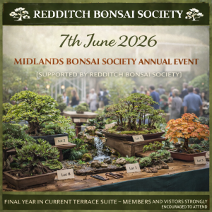Bonsai trees and group plantings displayed on tables inside a botanical garden setting with visitors in the background, representing the Midlands Bonsai Society annual event supported by Redditch Bonsai Society.