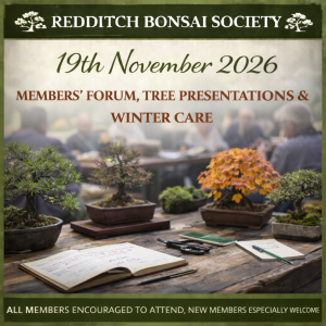 Bonsai trees arranged on a table during a group discussion, with notebooks and tools nearby, representing a Redditch Bonsai Society members’ forum focused on tree presentation and winter care advice.