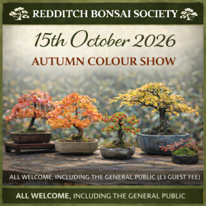 Bonsai trees displayed with autumn foliage showing reds, oranges, yellows, and berries on a show table, representing a Redditch Bonsai Society autumn colour exhibition with entries across multiple categories.