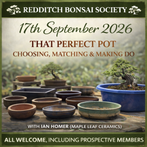 Assortment of bonsai pots in different shapes and sizes displayed alongside bonsai trees and a washing-up bowl used as a training container, representing a Redditch Bonsai Society meeting focused on selecting the perfect pot for bonsai.