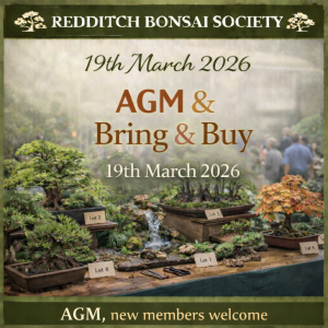 March 2026 bonsai event at Redditch bonsai Society, annual general meeting and bonsai auction.