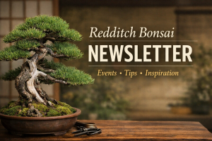 Redditch Bonsai Society Newsletter cover