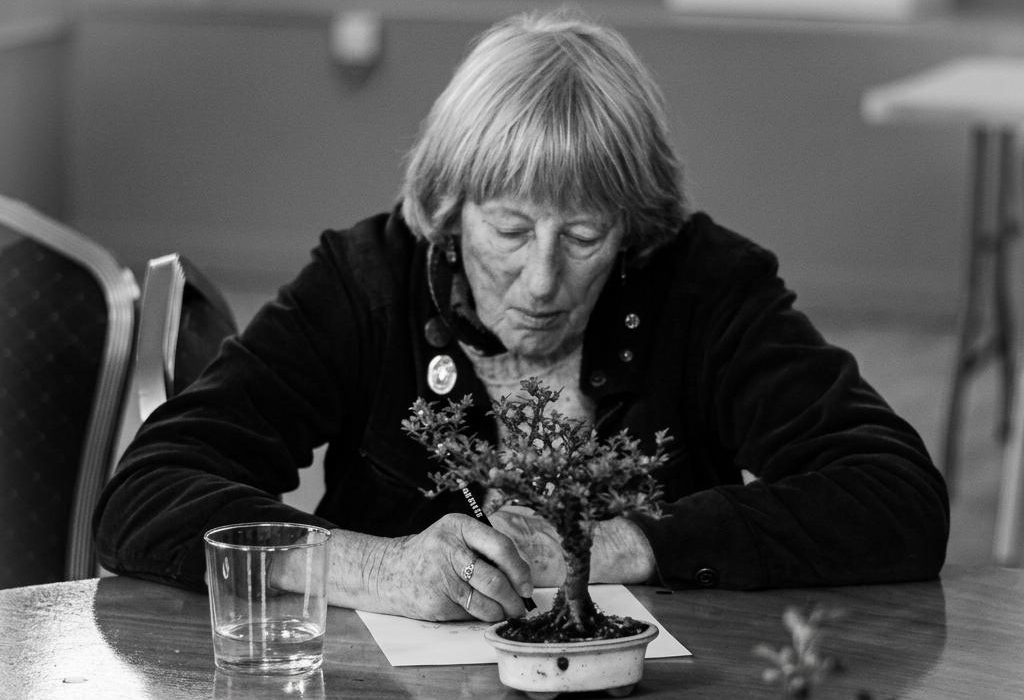 Judith Davison Redditch Bonsai society